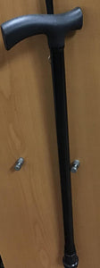 Walking Stick