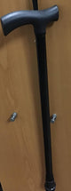 Walking Stick